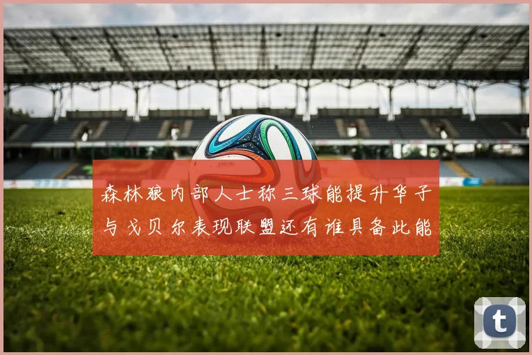 森林狼内部人士称三球能提升华子与戈贝尔表现联盟还有谁具备此能力