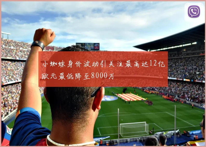 小蜘蛛身价波动引关注最高达12亿欧元最低降至8000万