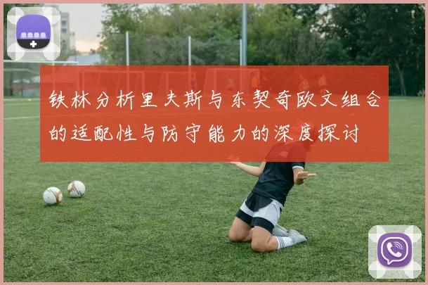 铁林分析里夫斯与东契奇欧文组合的适配性与防守能力的深度探讨
