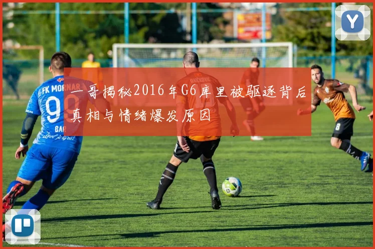 一哥揭秘2016年G6库里被驱逐背后真相与情绪爆发原因